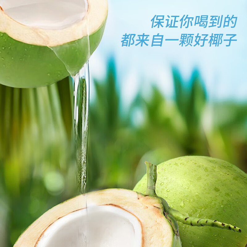 果系果系NFC饮料 无菌冷灌酸甜解腻清新爽口夏日必备冷藏更加 【椰子水】400ml*6瓶