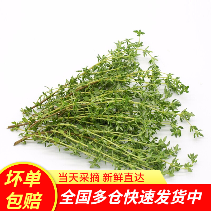 真京 新鲜百里香 香草地花椒山椒山胡椒麝香草 西餐香料调料 100g
