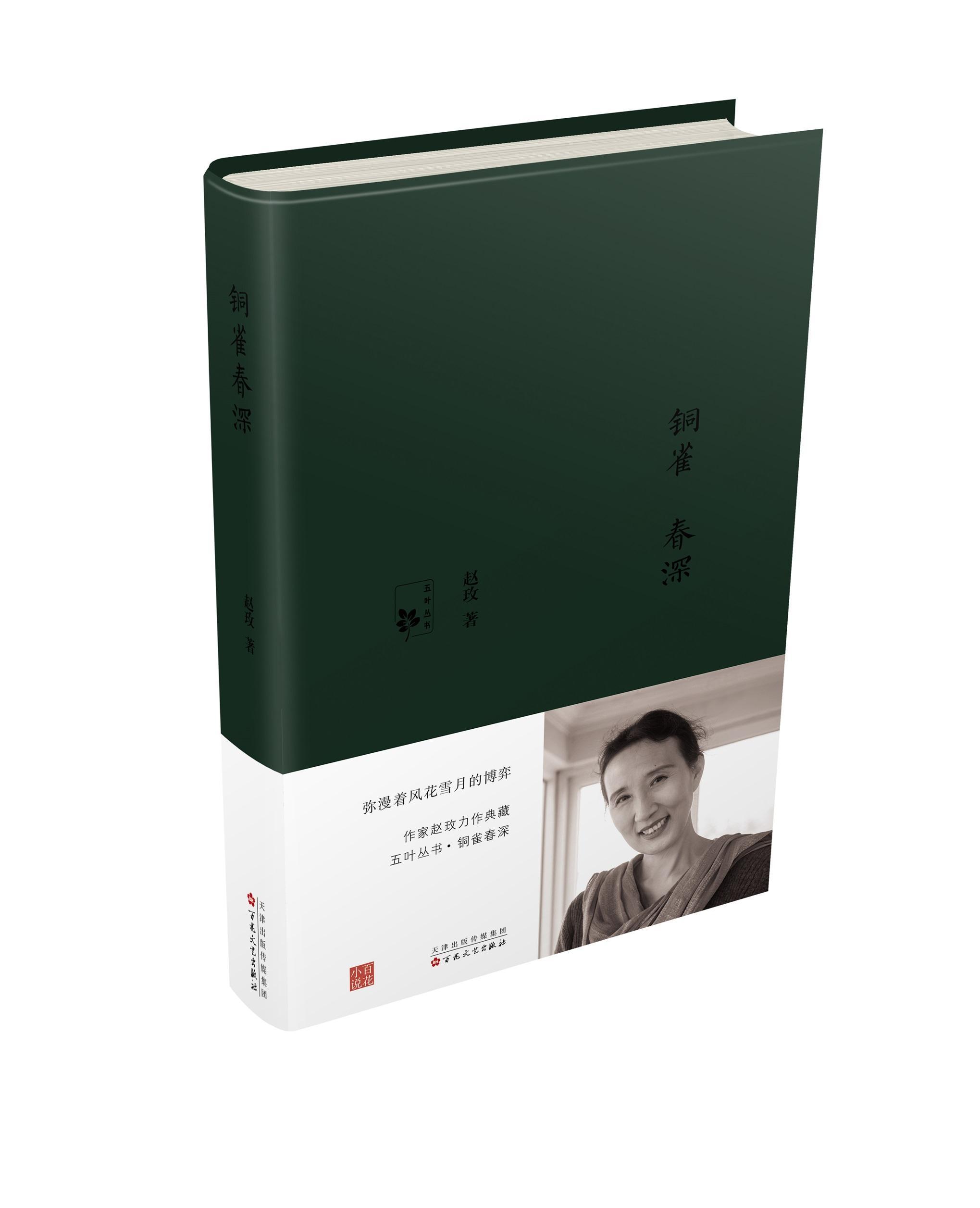 铜雀春深 赵玫  小说 9787530667408