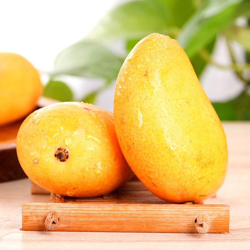 宜果生鲜 芒果 小台农 热带水果芒果2斤\5斤 2斤装（净重1.7斤多）