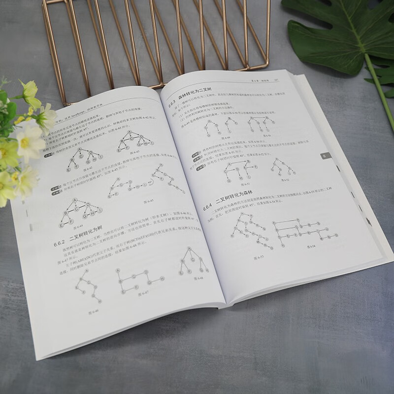 图解数据结构－-使用JavaScript（视频教学版）