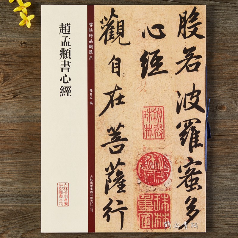 【包邮】碑帖珍品临摹本赵孟頫书心经 吉林出版集团赵孟俯行书心经