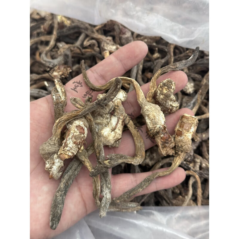 吾家余堂独角金蝉花公蝉花独角龙断角搞蝉花50g