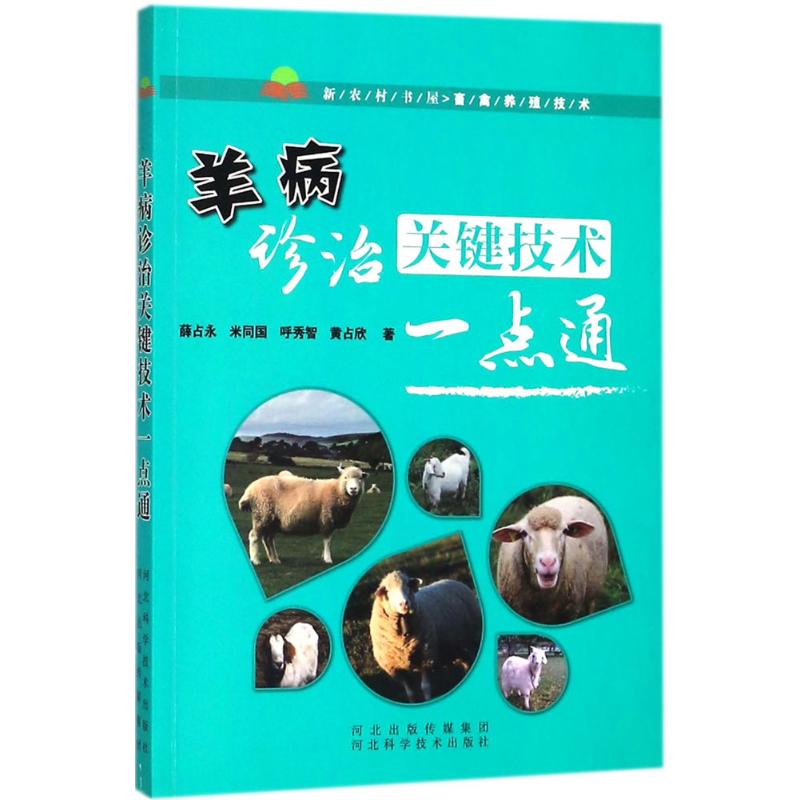 羊病诊治关键技术一点通 薛占永 等 书籍