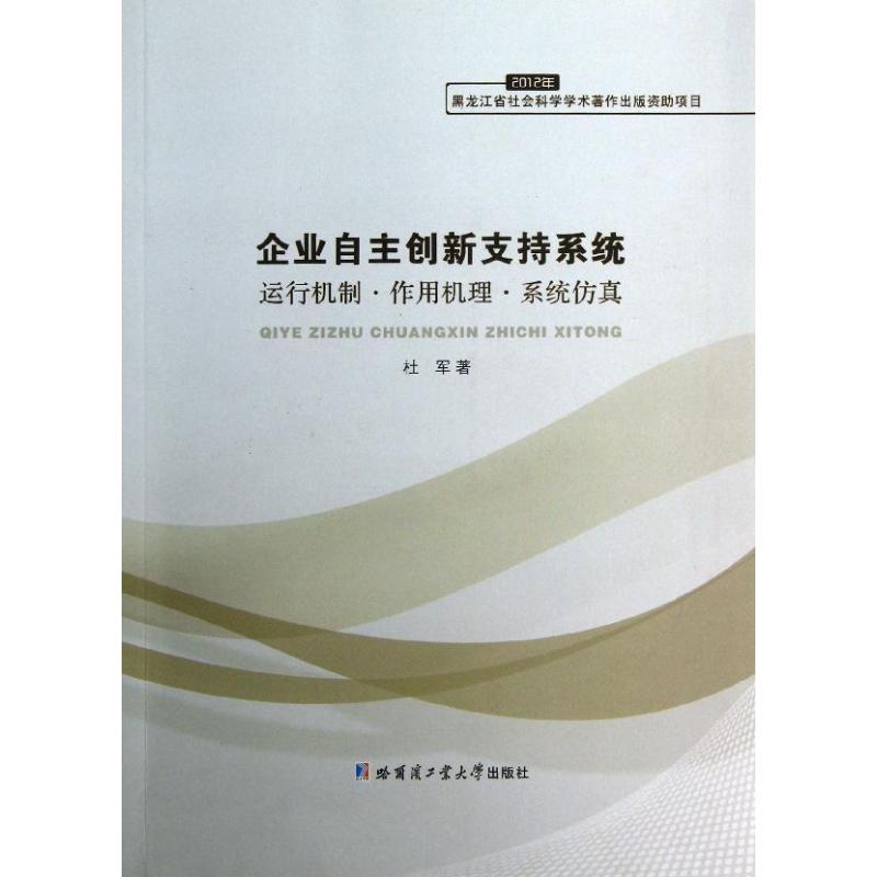 企业自主创新支持系统 杜军 作 书籍