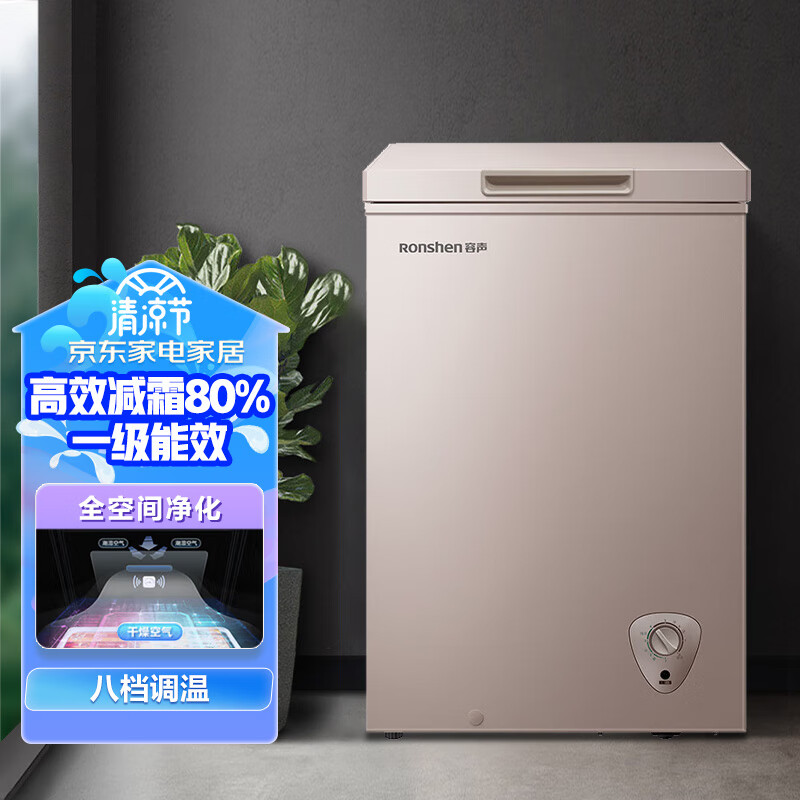 容声（Ronshen）145升小型冰柜家用单温冷柜 一级能效减霜80%小冰柜 冷藏冷冻 BD/BC-145ZEAM1/RX