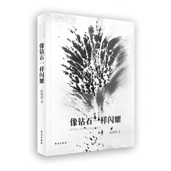 像钻石一样闪耀 陈晓维 著【书】