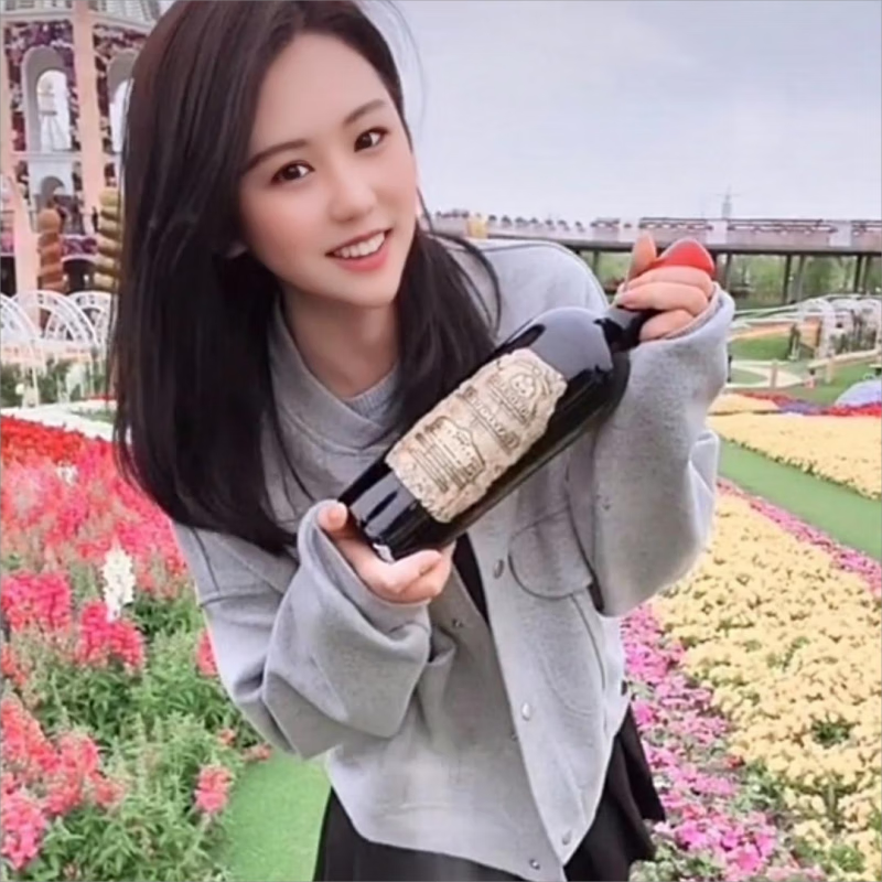 柯洛克法国原瓶进口06金章干红重型瓶身红色蜡封瓶帽庄主头像背标防伪标 单支品尝