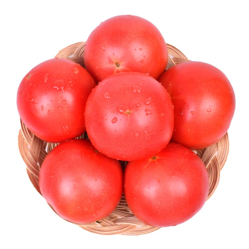 欣娃 普罗旺斯西红柿沙瓤西红柿农家自种大番茄健康时令蔬菜 5斤大果彩箱
