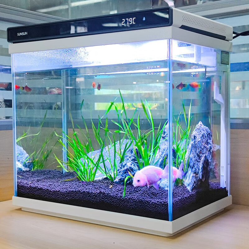 综合说说森森（SUNSUN）鱼缸水族箱体验反馈优缺点，入手两星期感受告知