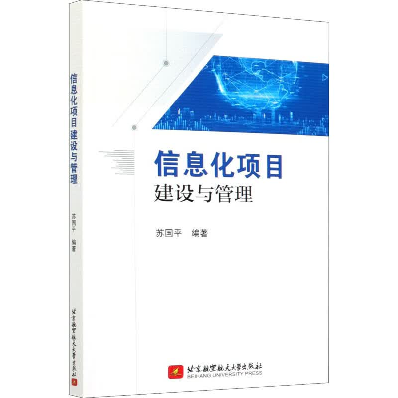 信息化项目建设与管理 图书