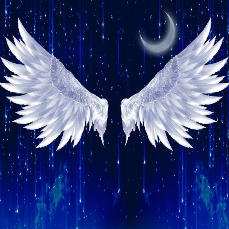 漂傲新款翅膀天使之翼网红直播背景墙翅膀卧室温馨娱乐主播背景布 图1