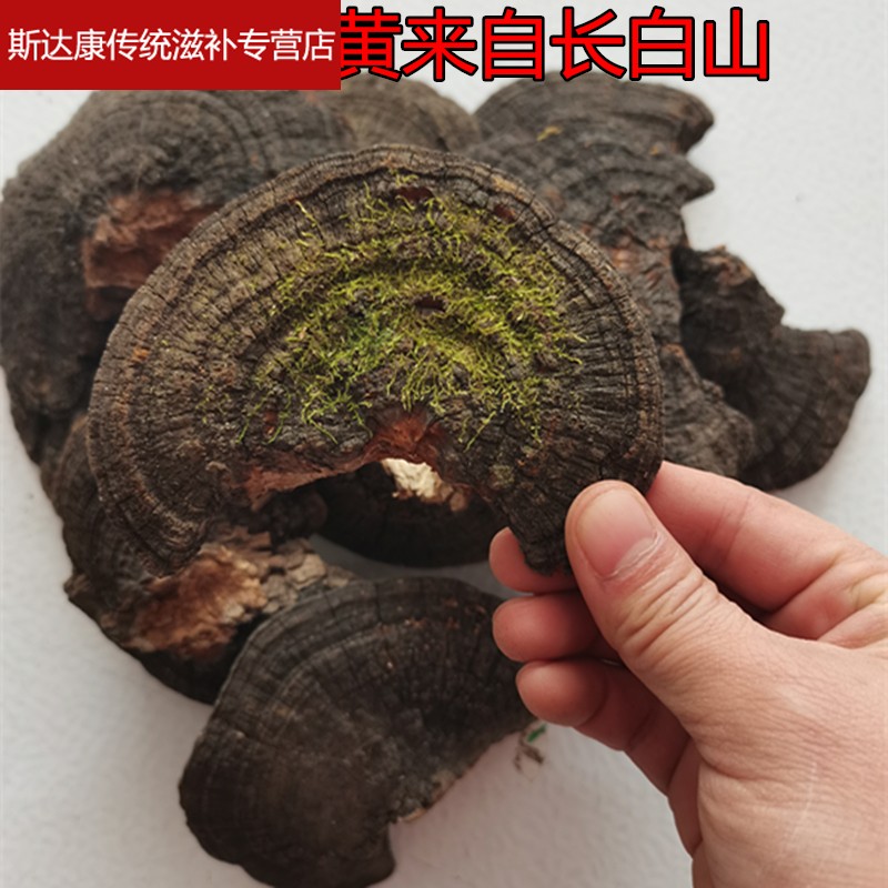 京选优品  东北 野生 桑黄 桑黄灵芝整枝切块 500g【推荐】 图片色