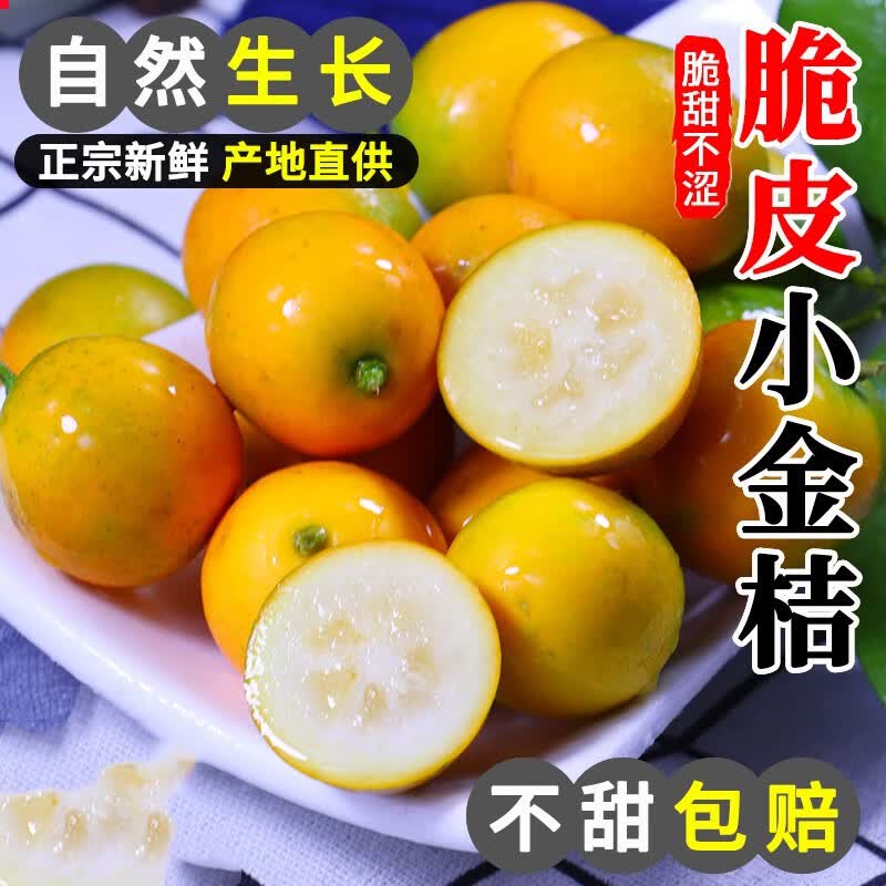 脆皮金桔广西小金桔现摘新鲜水果当季橘子砂糖柑桔纯甜蜜孕妇整箱 脆皮小金桔【3斤装】精选大果