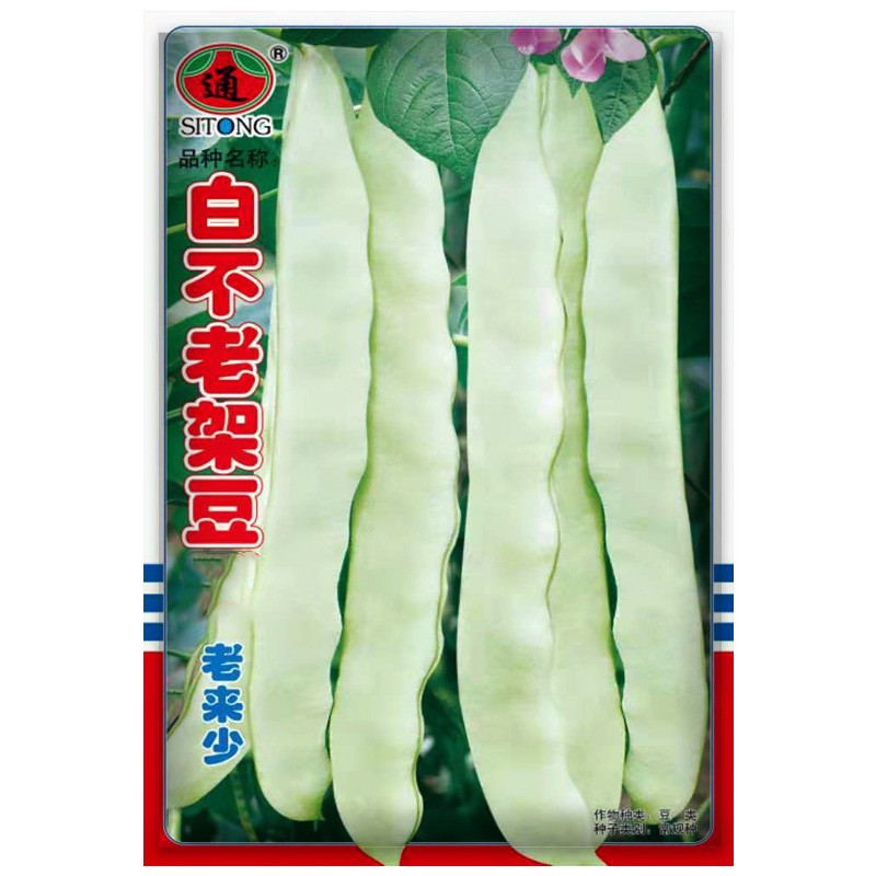鳳鳴雅世白不老豆角種子黃瓜種子白菜種子蔬菜種子春秋四季播早熟蔬菜籽 白不老架豆種子100克