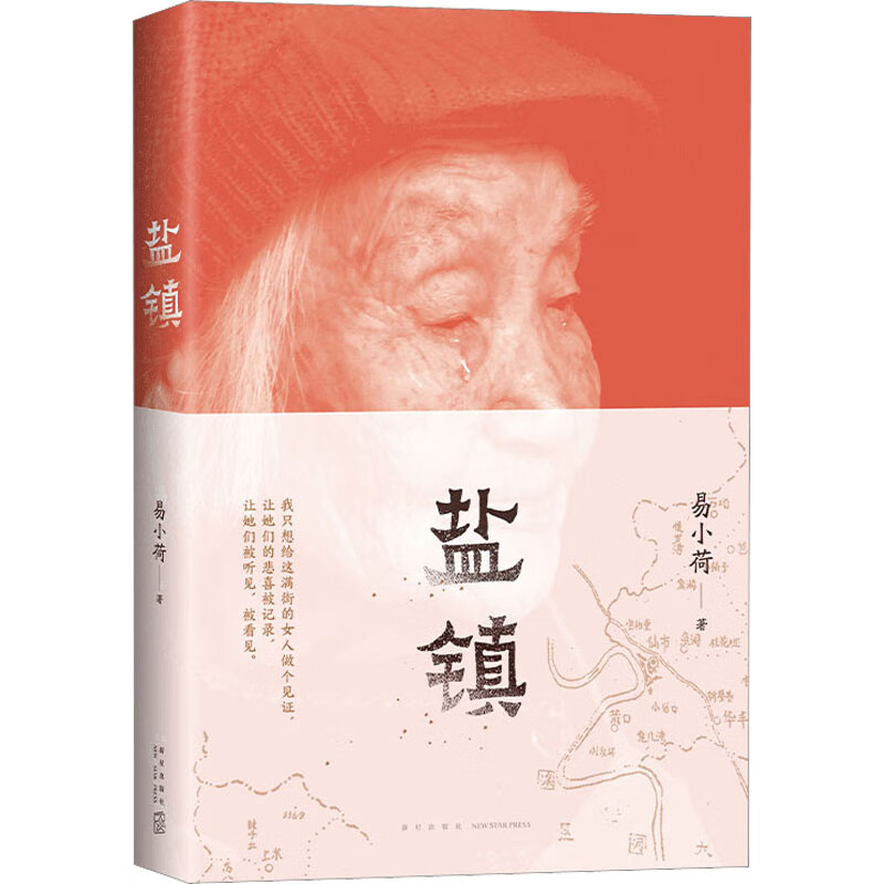 盐镇 易小荷 著 中国现当代文学 图书