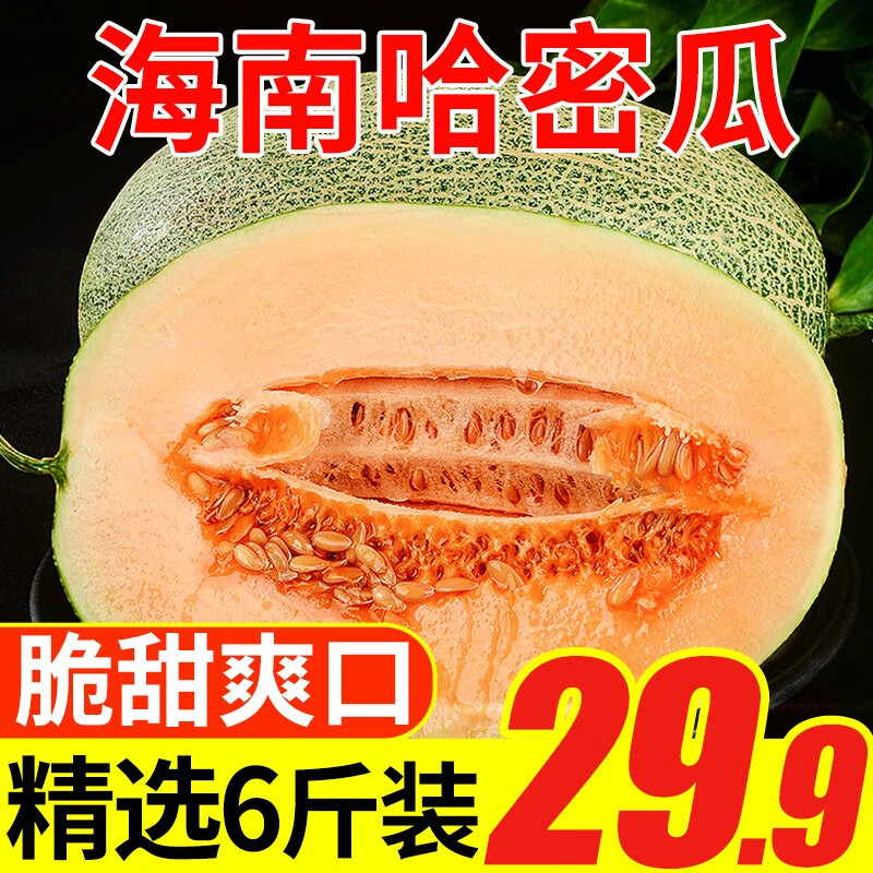 壹农壹果 海南网纹哈密瓜甜瓜 当季新鲜水果 哈密瓜5-6斤装
