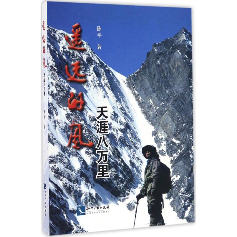 遥远的风 陈平 书籍