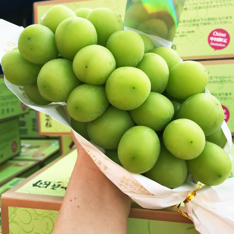 晴王葡萄2斤日本品种阳光玫瑰无籽提子新鲜孕妇水果包顺丰 1000g