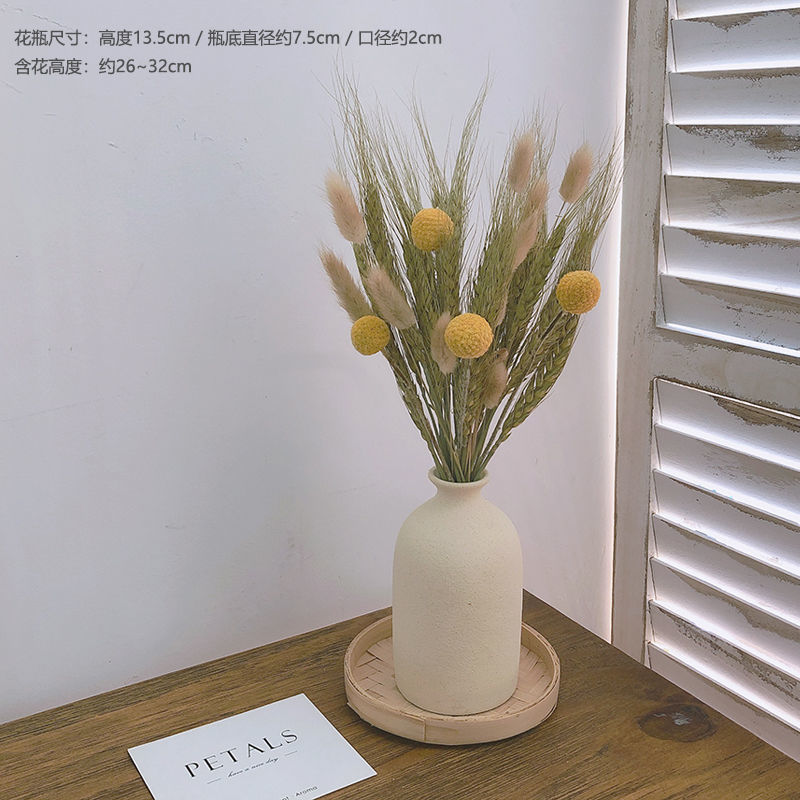 干花价格波动查询|干花价格走势