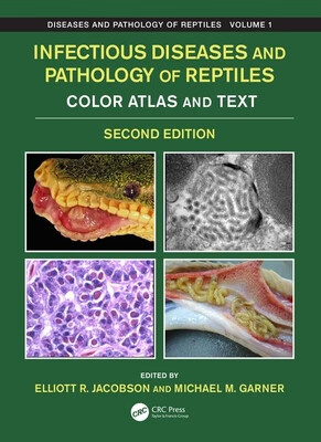预订 Infectious Diseases and Pathology of Reptiles