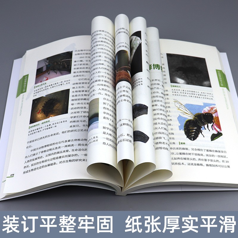 【2册】 博物馆之旅:世界博物馆之旅+特色博物馆之旅 上海科学技术文献出版社