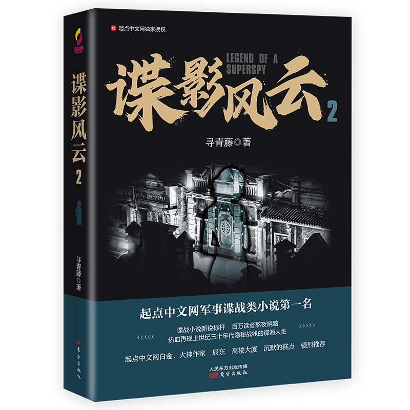 谍影风云 2