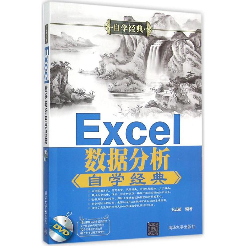Excel数据分析自学经典 王志超 编 作 书籍