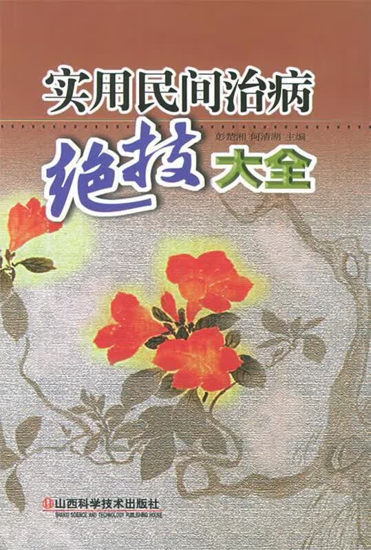 实用民间治病绝技大全 彭楚湘,何清湖 主编 山西科学技术出版社