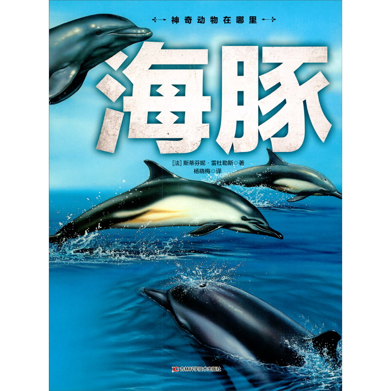 神奇动物在哪里-海豚 