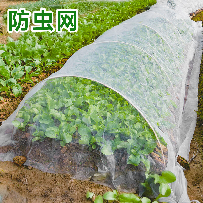 北蔬防虫网蔬菜种菜网罩菜地拱棚防护网菜棚塑料膜与支架保温膜防寒 防虫网60目【2米*5米】