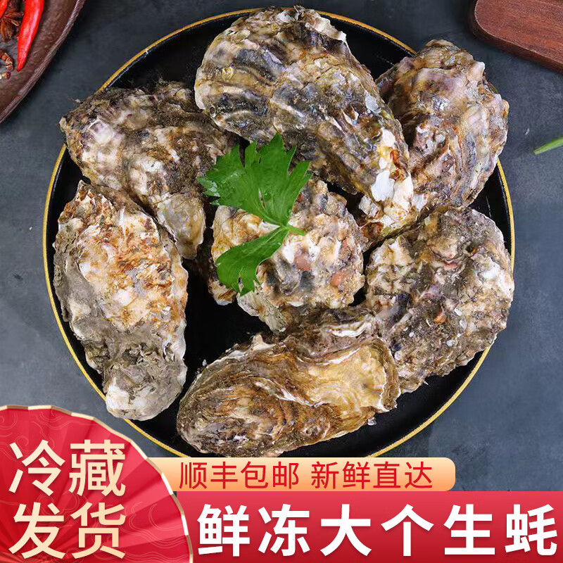 惟纳德生蚝鲜活海蛎子带壳牡蛎新鲜整箱海鲜水产惟纳德 2xl【28-40只