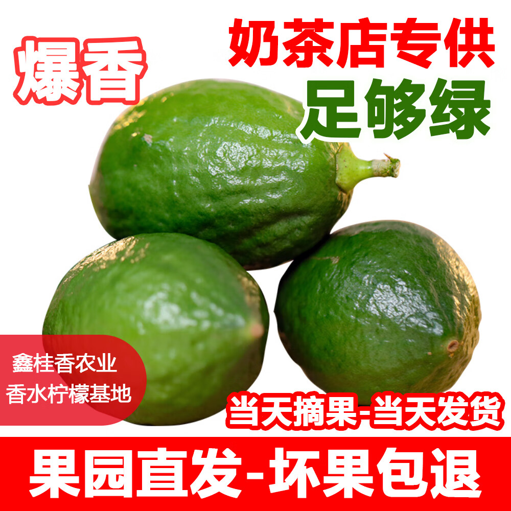 正宗广东香水柠檬爆香新鲜无籽精品一级果 3斤(净重一级果奶茶店口味)