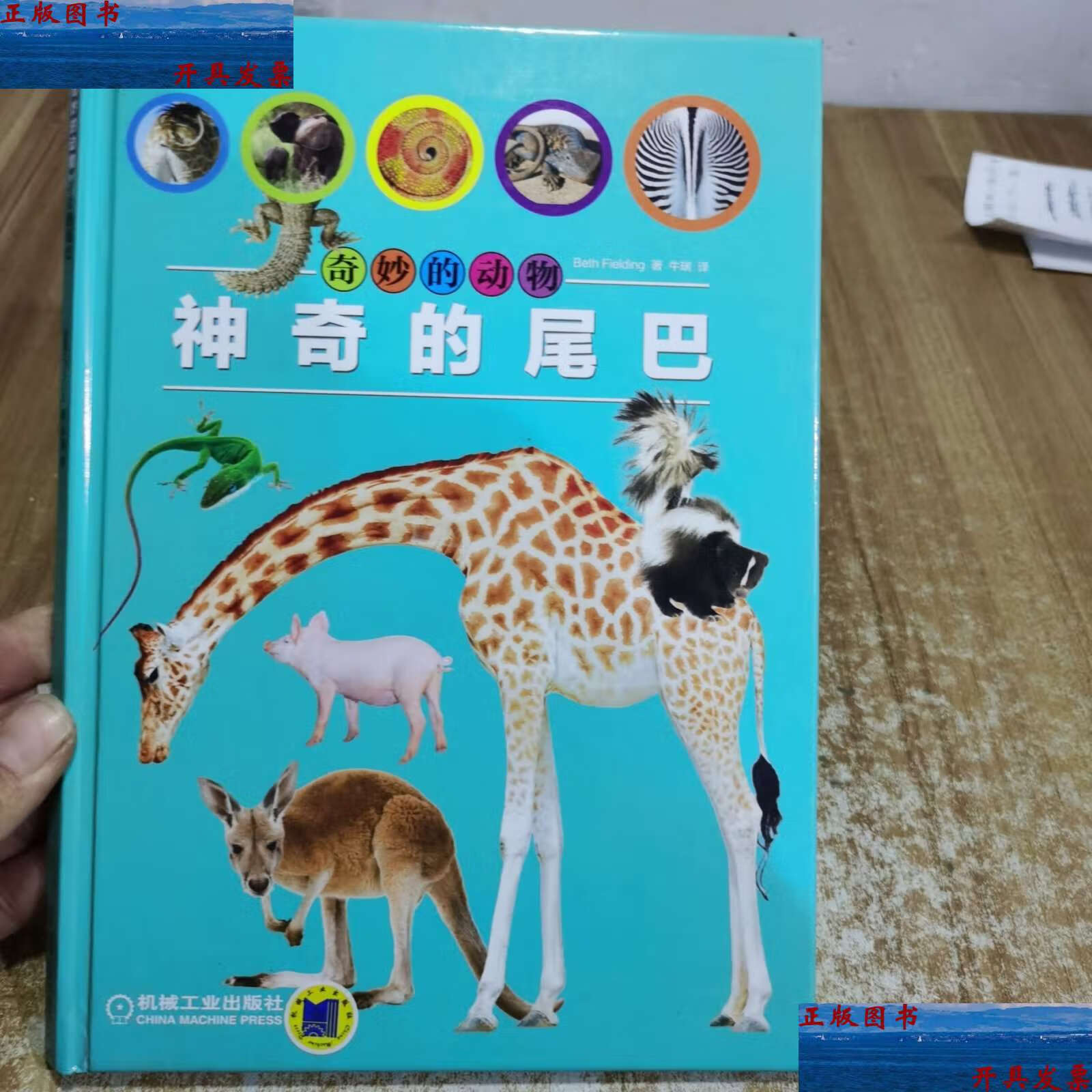 【二手9成新】奇妙的动物:神奇的尾巴 /beth fielding 机械工业