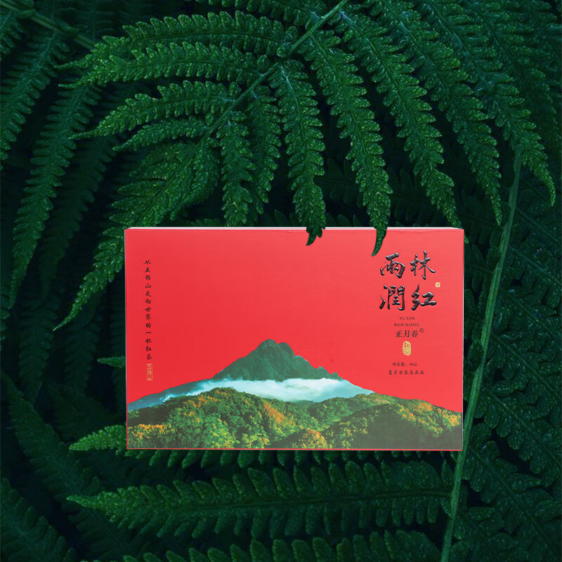 雨林润红早春红茶海南五指山高山红茶90g盒装礼品