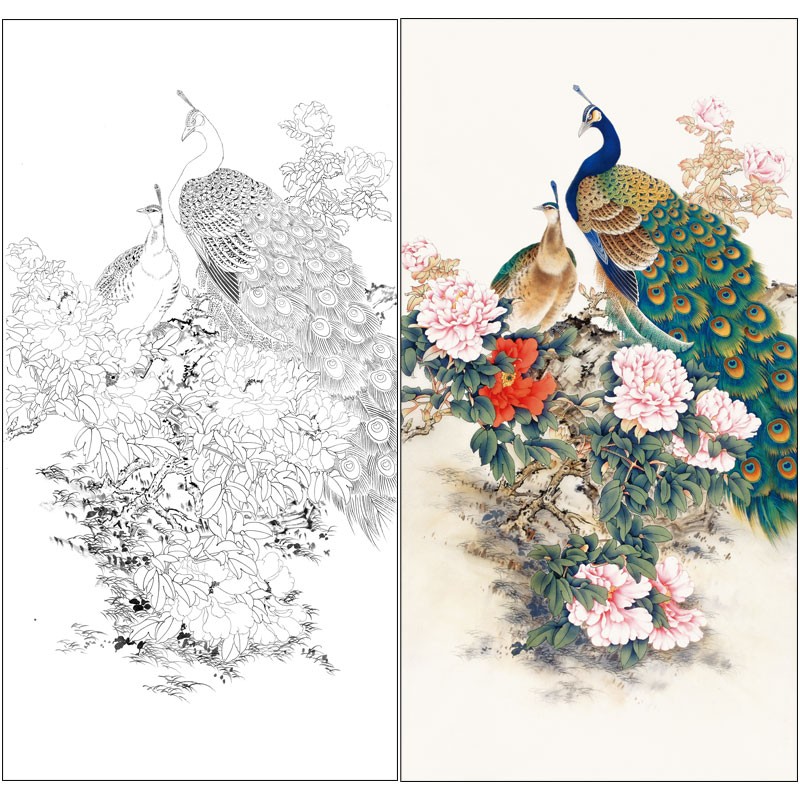 桔舍陈军工笔画白描底稿孔雀牡丹四尺原作大小66×127厘米花鸟线稿带