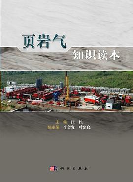 正版现货页岩气知识读 汪民 编 9787030361226