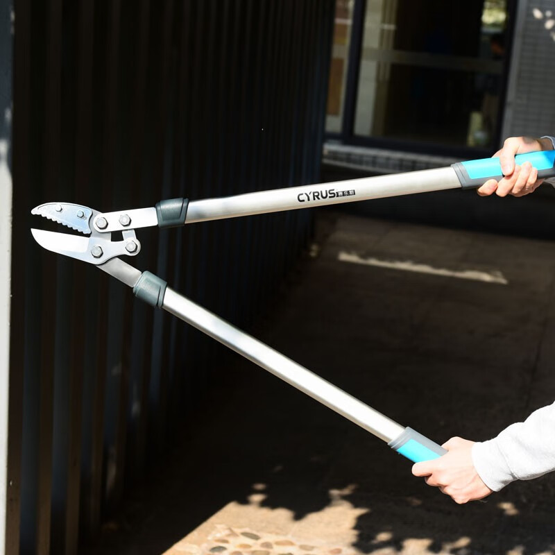 树枝剪刀果树剪刀强力园艺园林大力剪高空剪可伸缩 四点杠杆省力粗枝