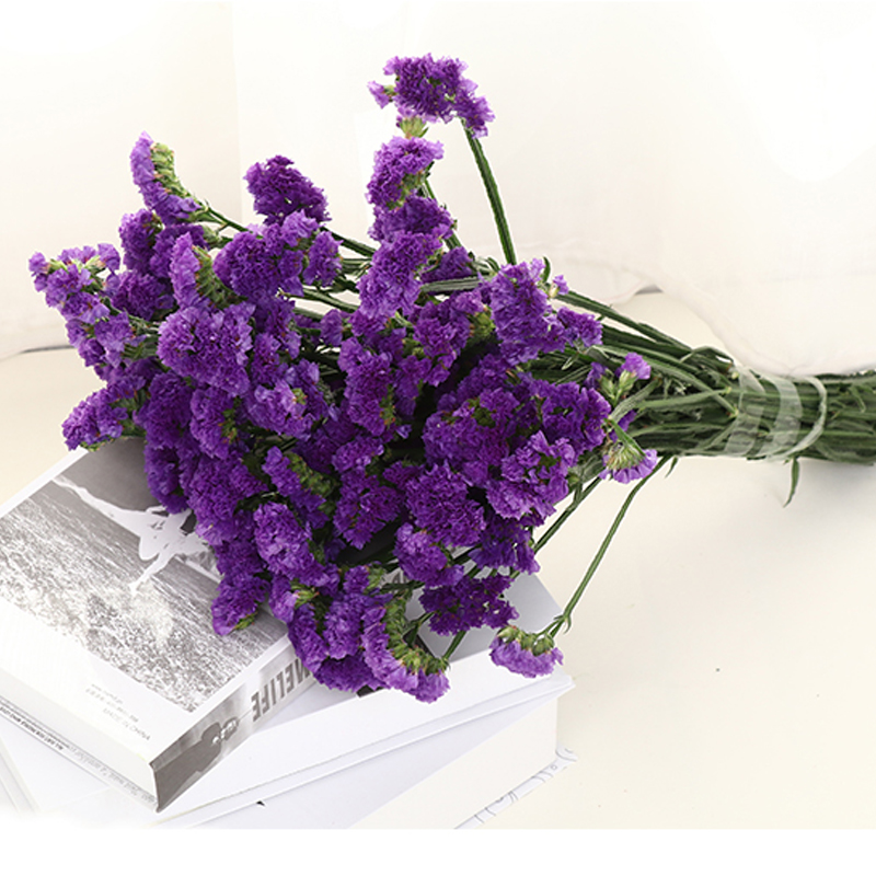 真花干花花束家居摆设小清新客厅满天星插花论斤卖sn1600 紫色勿忘我