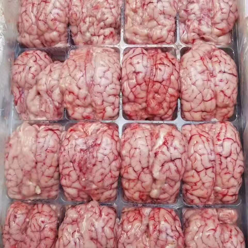 羊脑新鲜冷冻羊脑花生鲜羊脑 羊脑8副
