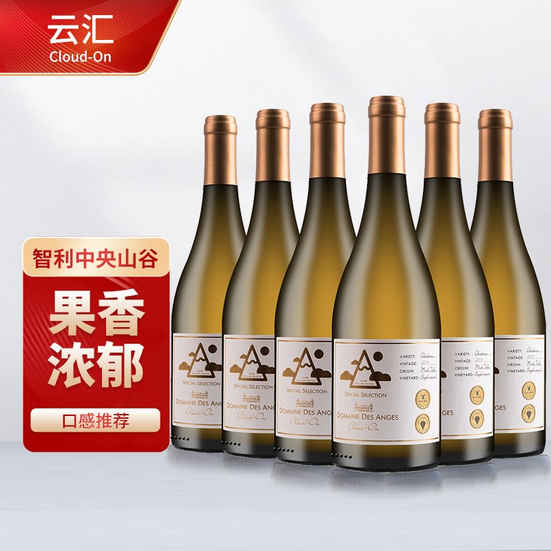 云汇智利中央山谷新世界原瓶进口莎当妮Chardonnay霞多丽干白葡萄酒 云汇（单一园）整箱6支装