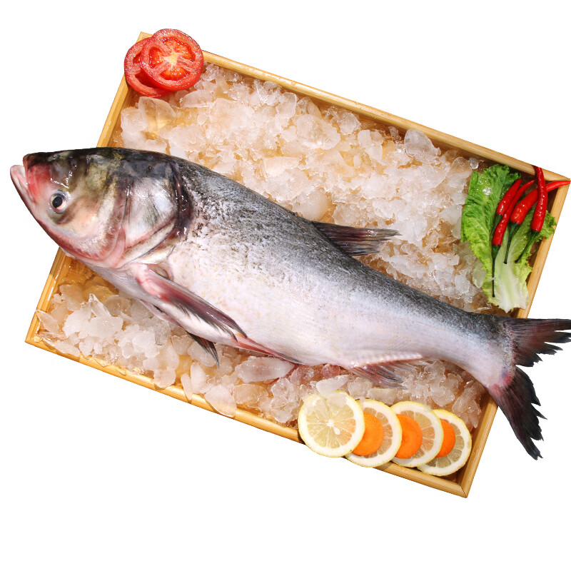 棠鲜生  10-11斤查干湖鱼查干湖胖头鱼东北冬捕新鲜