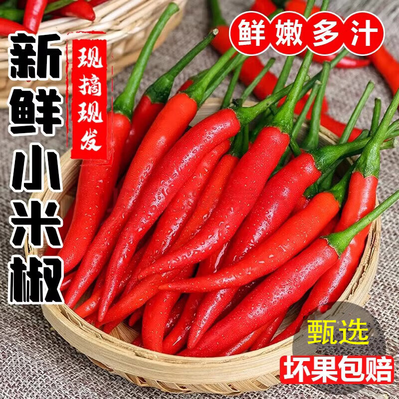 相遇红颜现摘新鲜广东小米辣朝天椒红辣椒味道剁椒泡椒特辣指天椒香味 净重 3斤