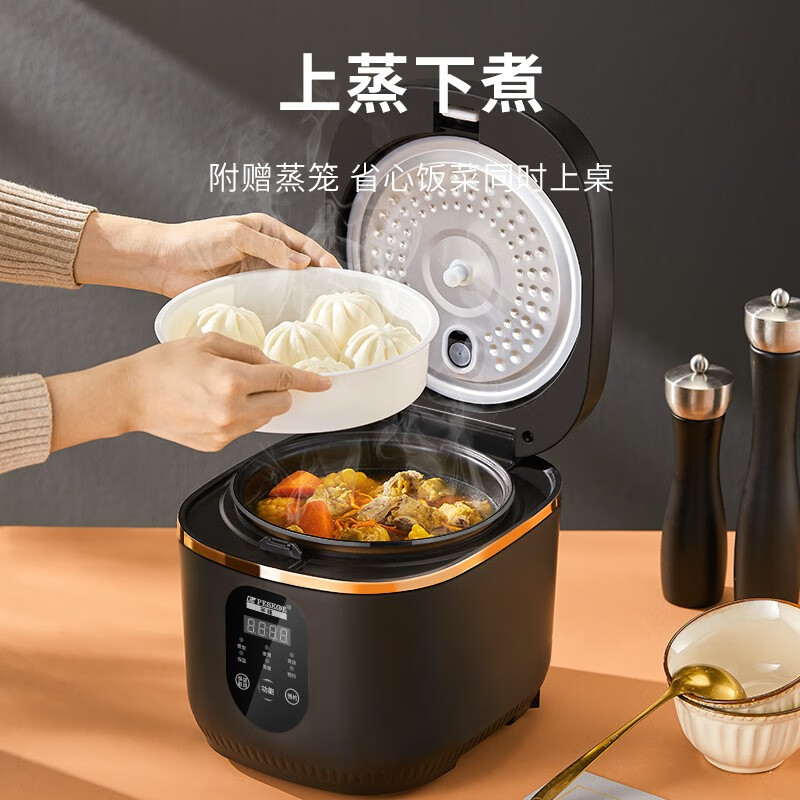 半球FBD38-C电饭煲怎么样质量大揭秘！