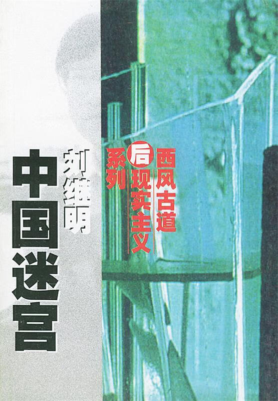 中国迷宫 刘继明 著 9787806730553【正版图书】