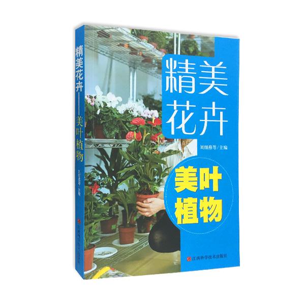 精美花卉美叶植物