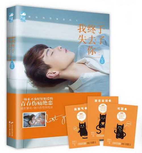 我终于失去了你9787551124652花山文艺出版社