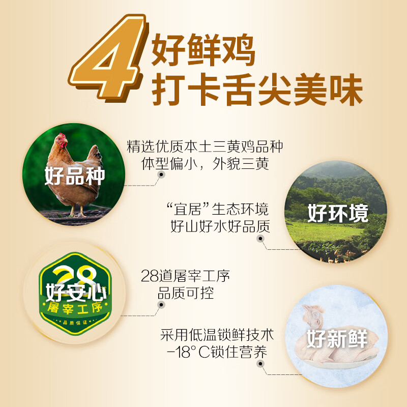 温氏供港三黄鸡1kg*2只 农家散养土鸡 冷冻生鲜鸡肉红烧白切煲汤食材 三黄鸡800g*2只