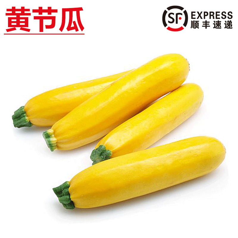 旷古农业【顺丰】新鲜黄节瓜 意大利黄瓜黄西葫芦 500g