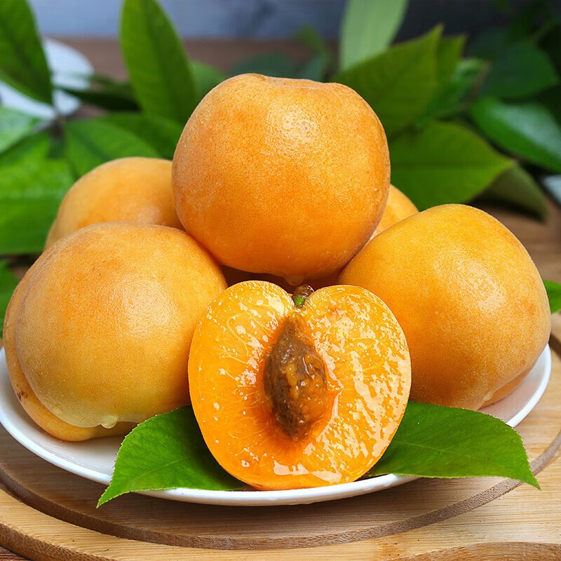 教蔬鲜生陕西大黄杏 当季新鲜采摘金太阳杏子时令孕妇水果酸甜可口